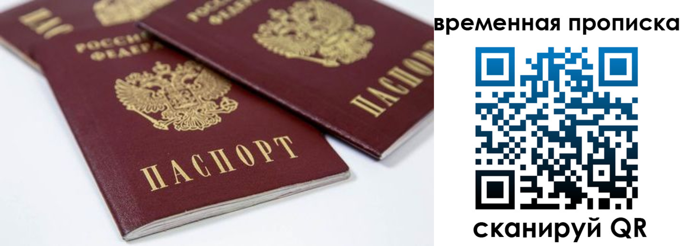 прописка для школы в Шатуре